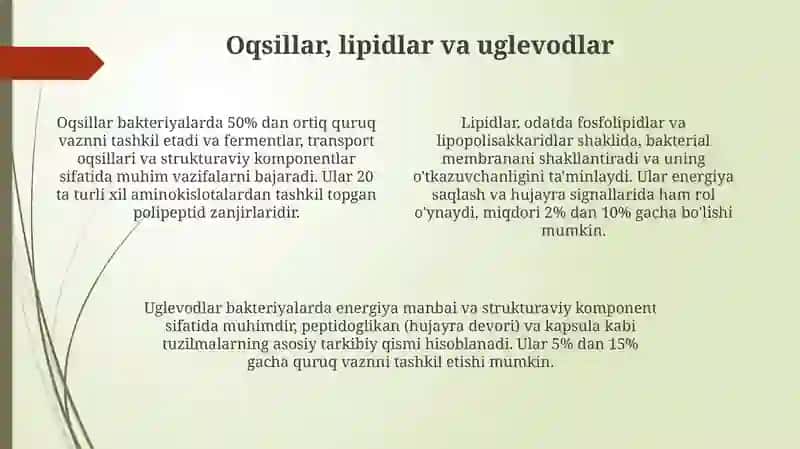 Bakterial hujayraning kimyoviy tarkibi 4