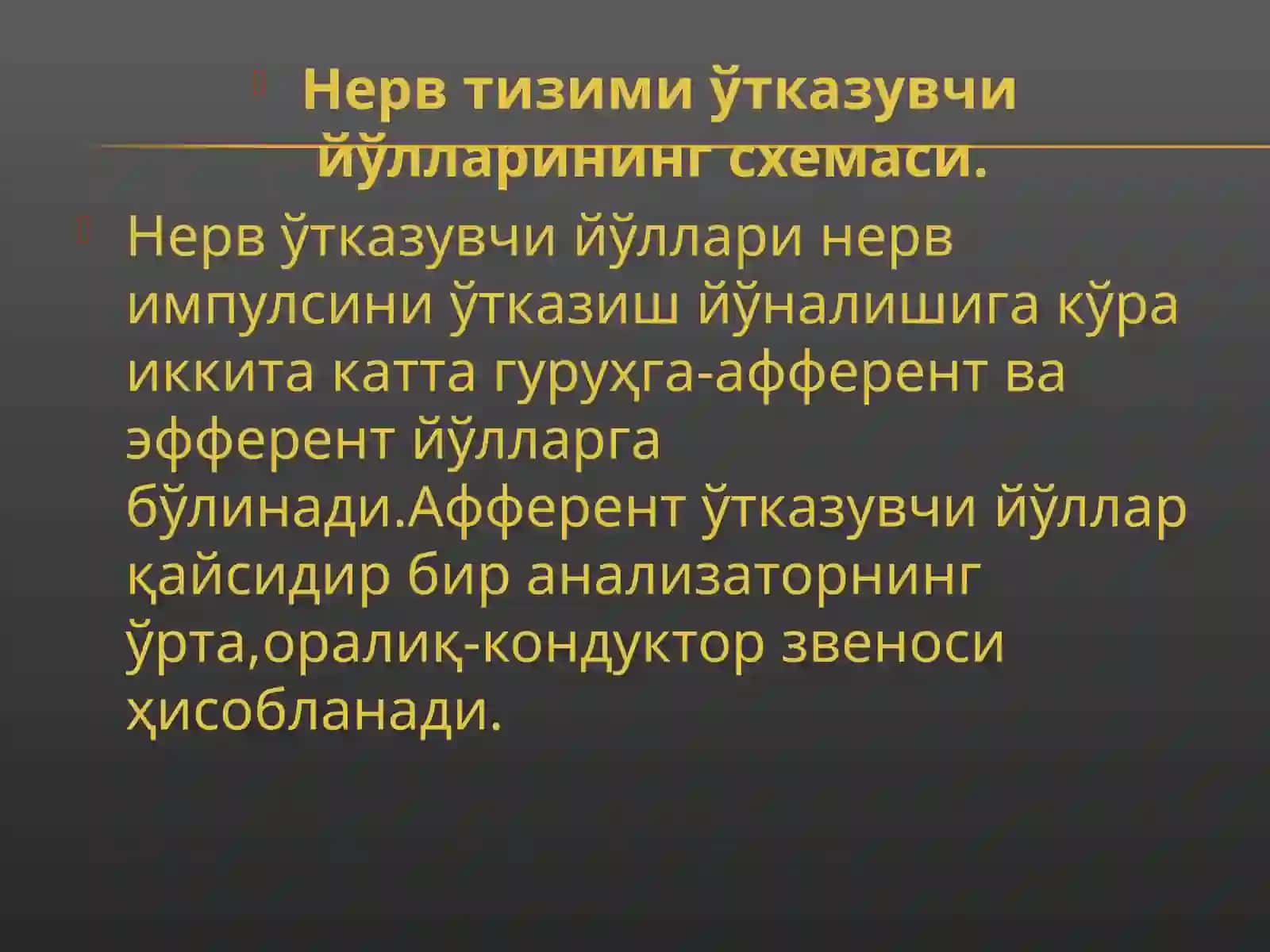 Бош мия пўстлоғи 4