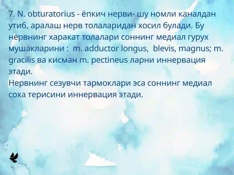 Бел чигали 4