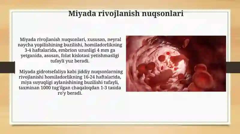 Odamlarning Embriologiyasi 4