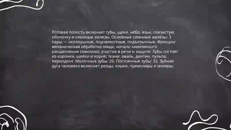 Pishevartelnaya sistema 4