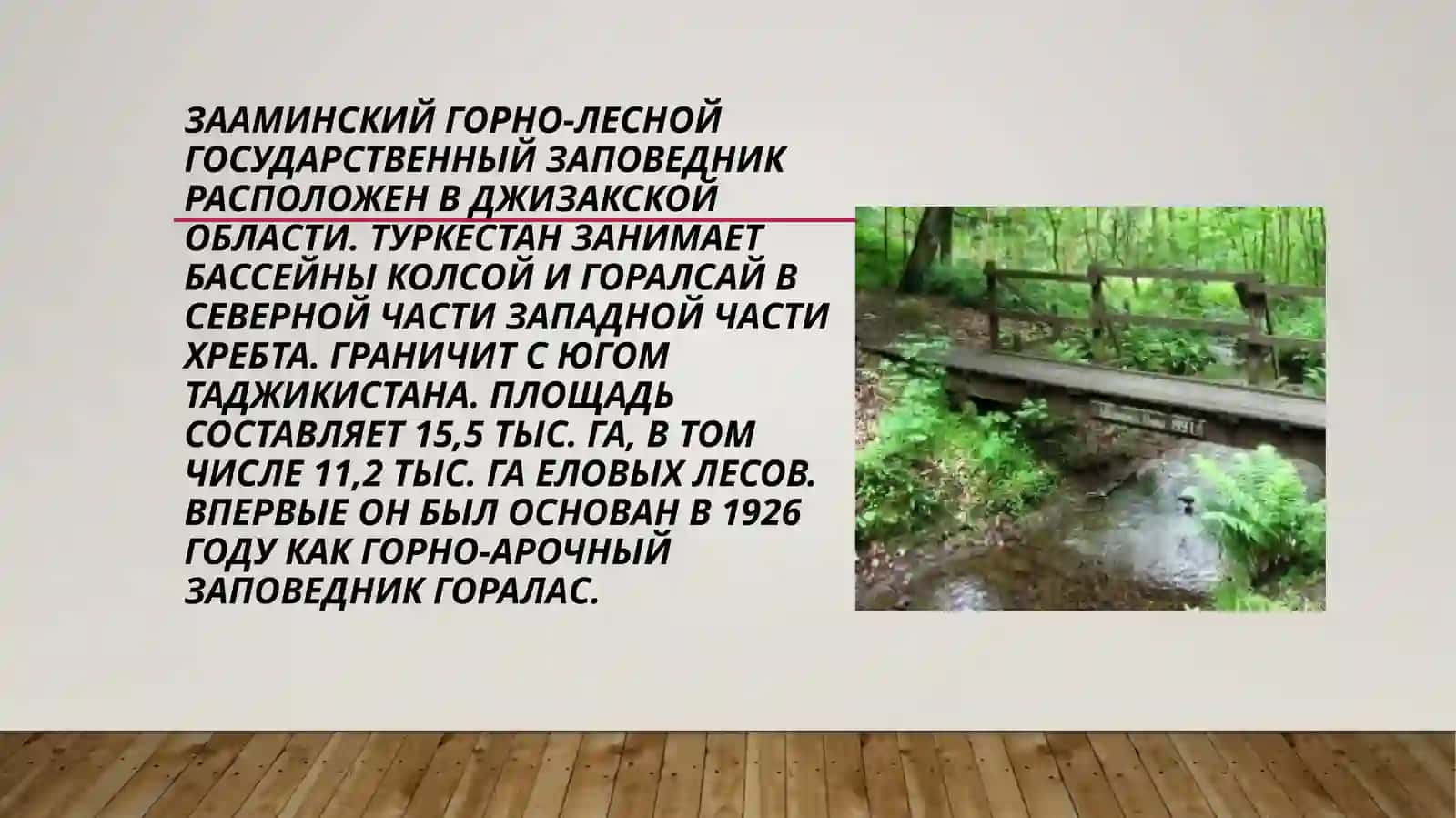 Заповедник 4