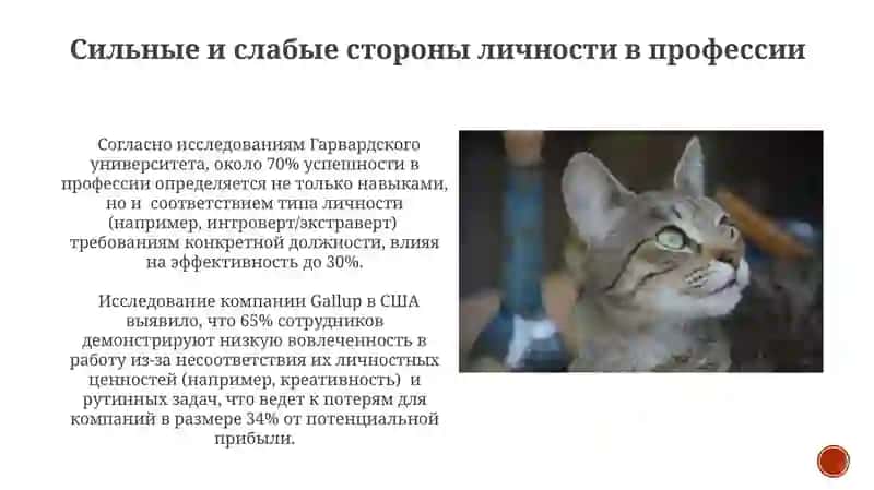 Личность и профессия 4