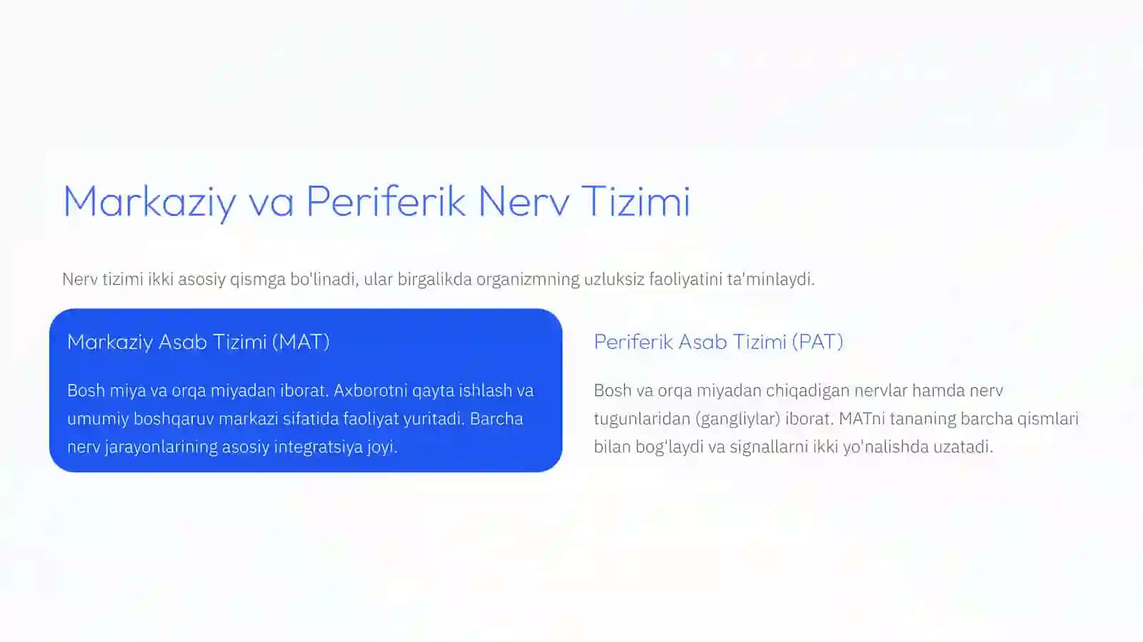 Nerv Tizimining Umumiy Tuzilishi va Xossalari 4