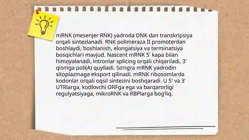 Ribonuklein kislotalar 4