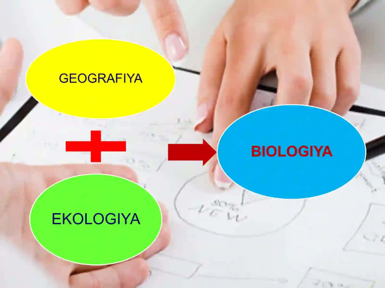 Gidrosferaning tarkibiy qismlari 4