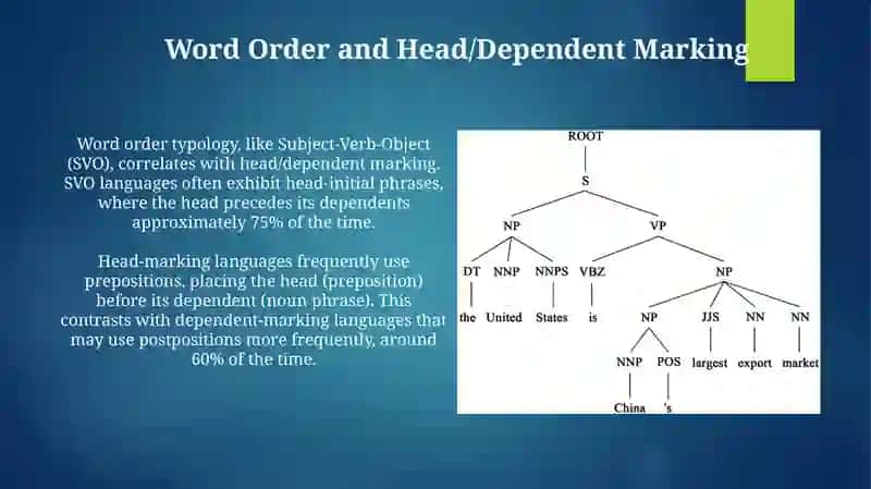 Typology of Syntactic level of English and Native Language 4