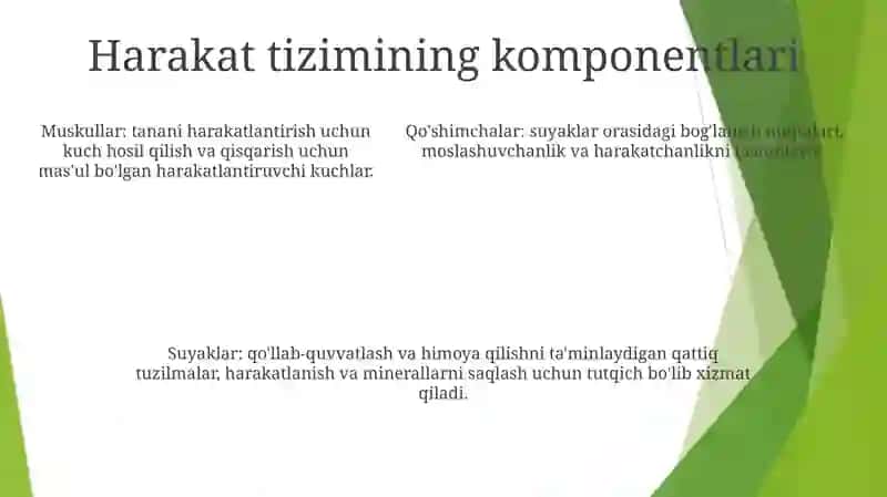 Tayanch Harakat Sistemasi 4