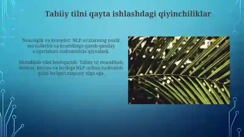 Tabbiy tilni qayta ishlash(Natural Language Proccessing,NLP) 4