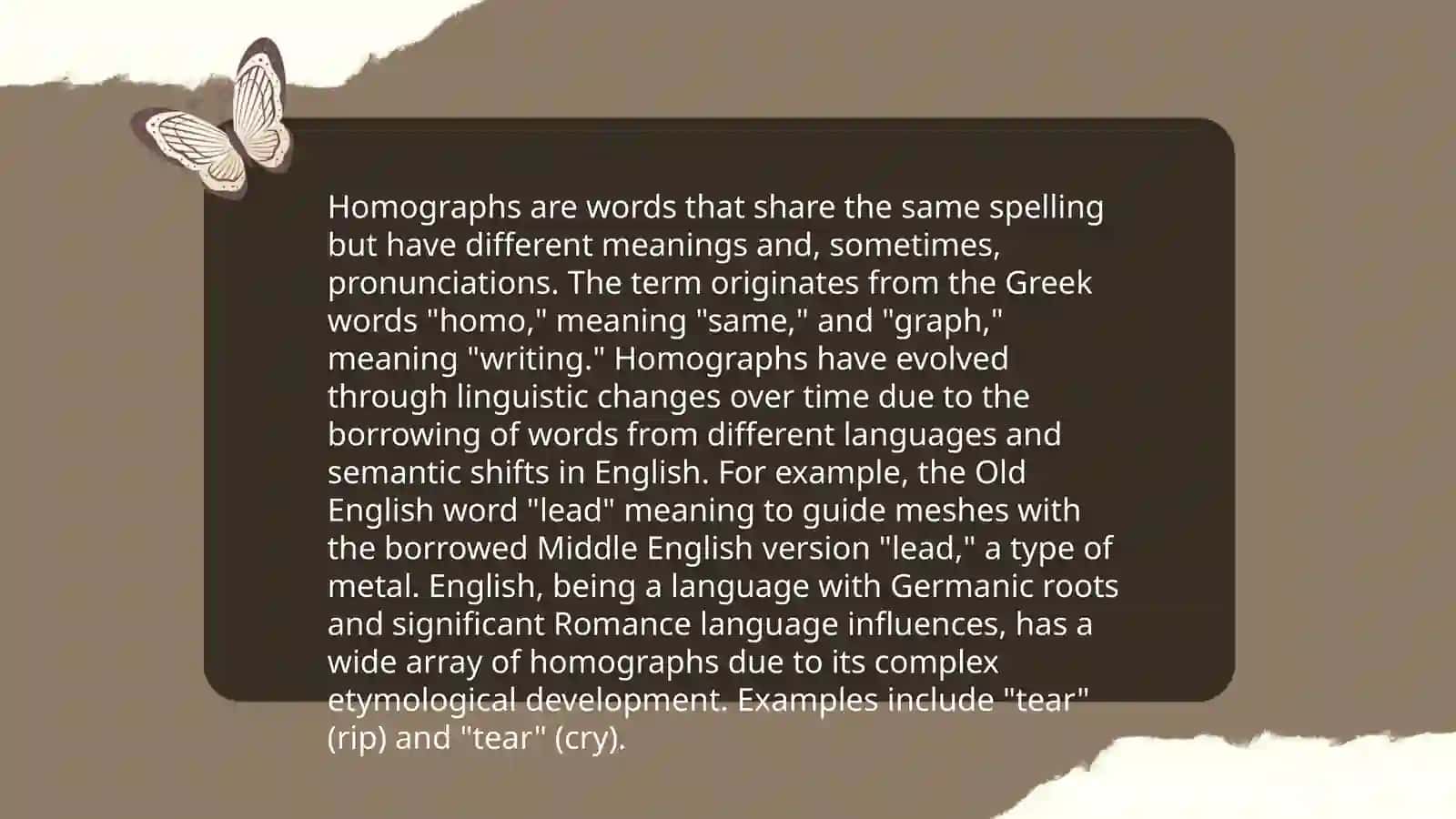 Homographs 4