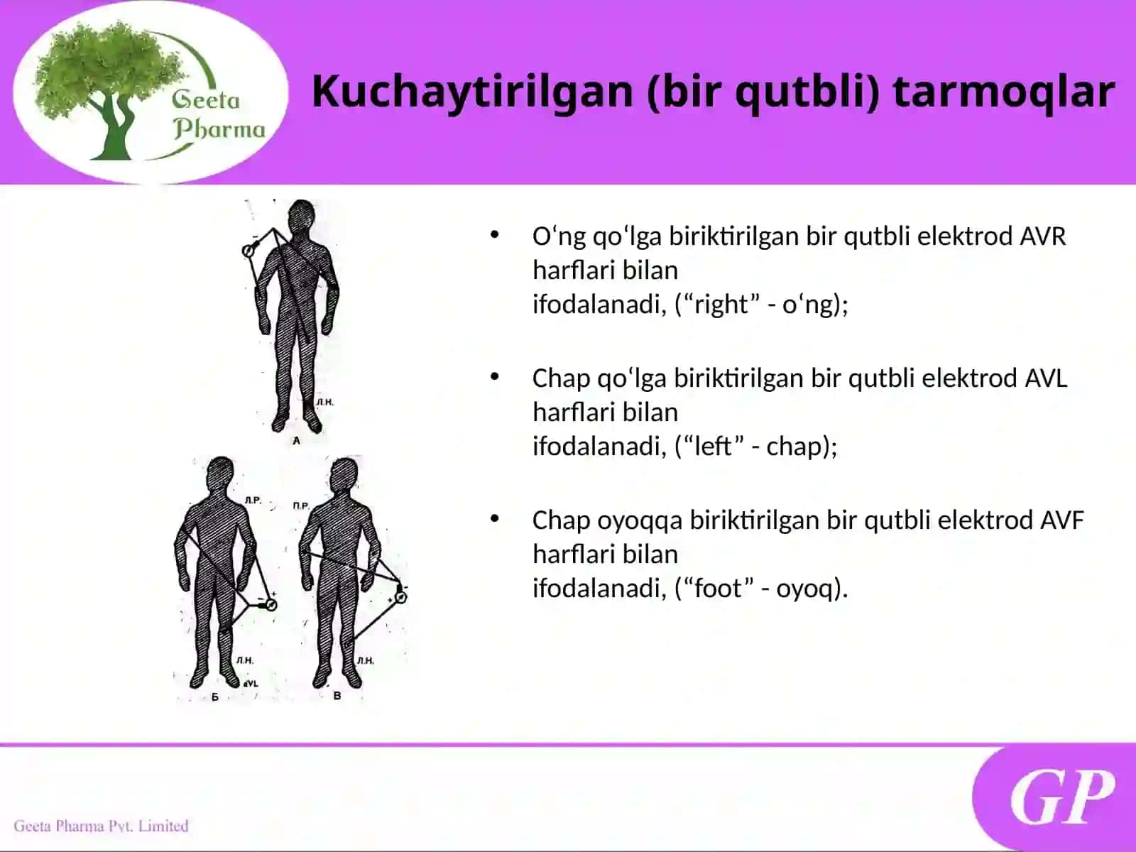Eléktrokardiográfiya 4