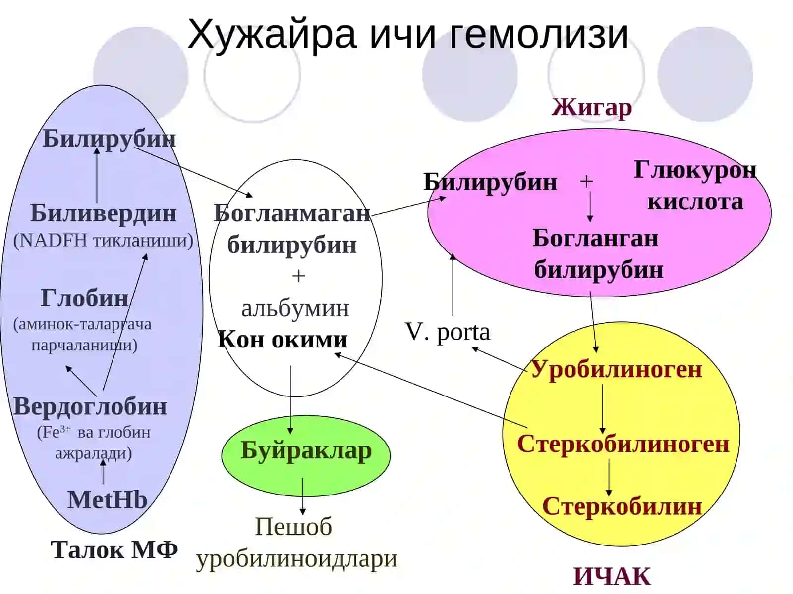 Гемолитические анемии(Гемолитик камконликлар) 4