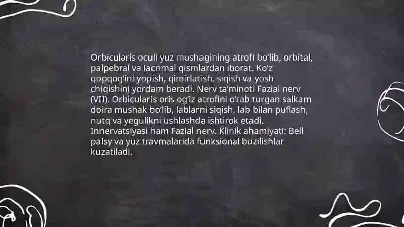 Yuz mushaklari 4