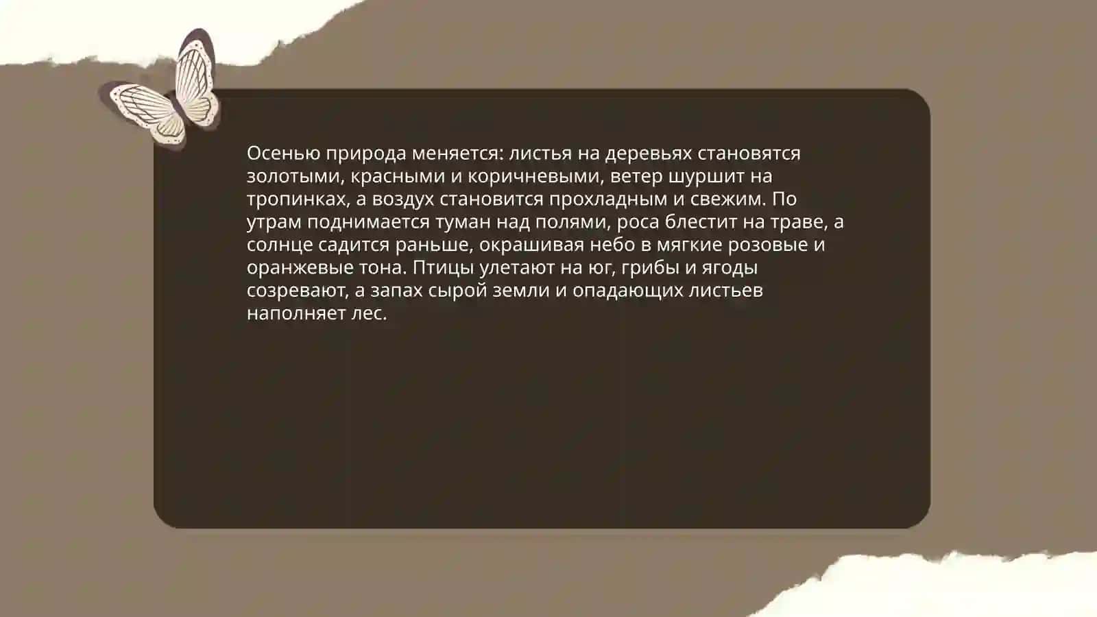 Моё любимое время года 4
