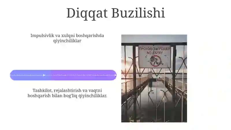 Diqqat mexanizmlari 4