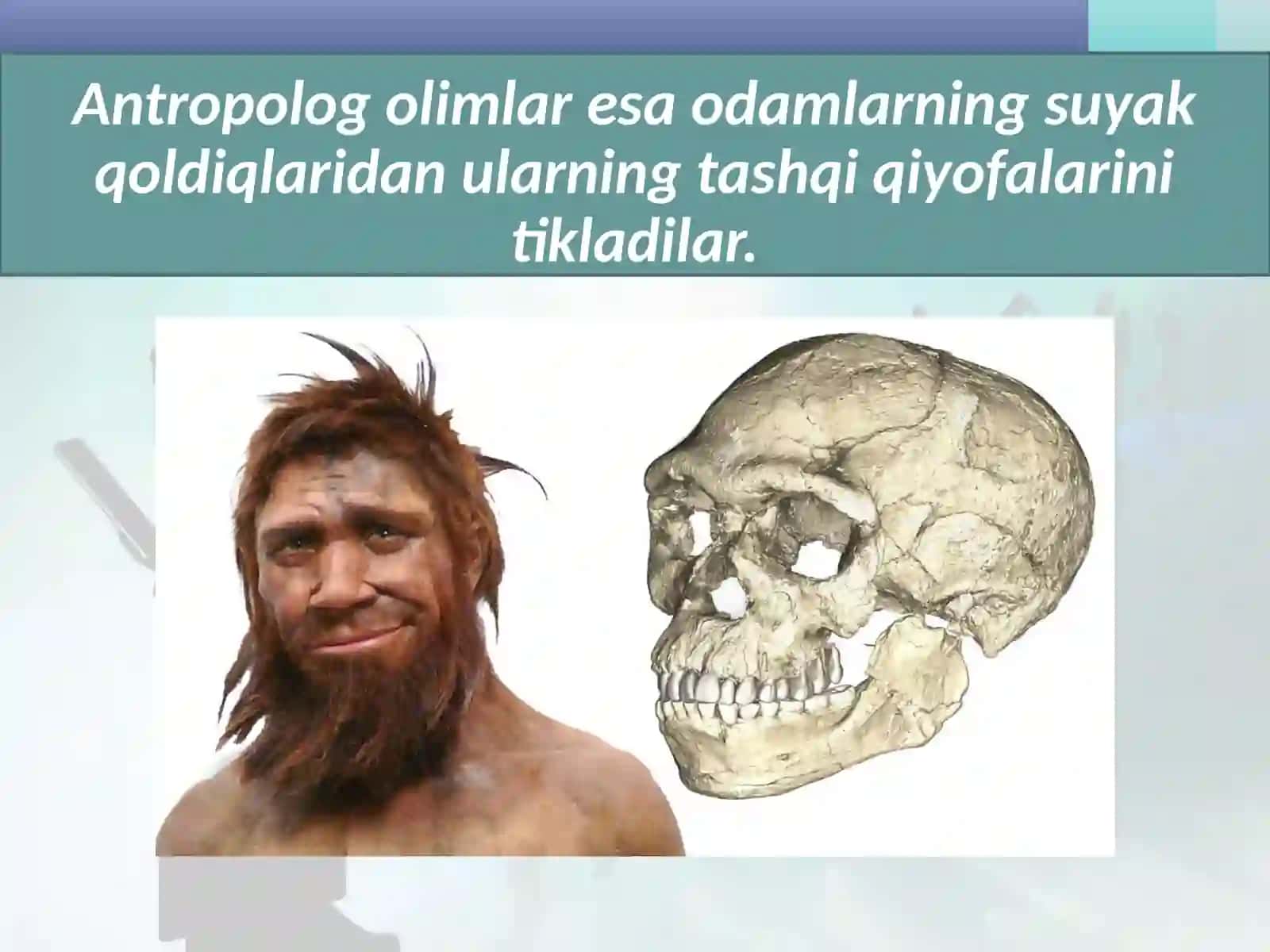 Eng qadimgi odamlar va ularning manzilgohlari 4