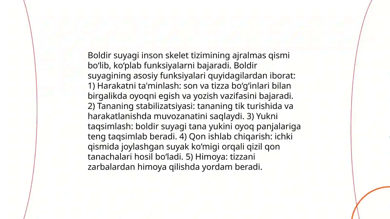 Boldir suyagi muskullari 4