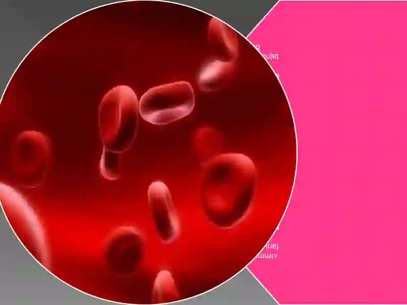 Immunologiya fani va immunitet 4