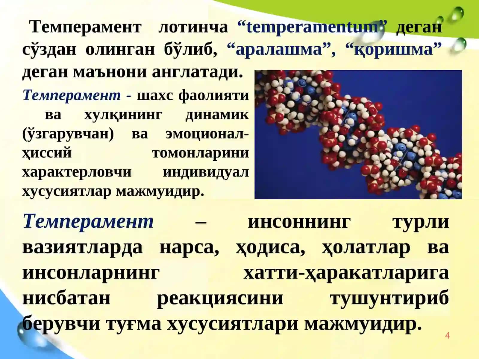 Темперамент шахс тузилмаси сифатида 4
