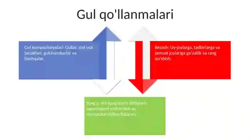 Gul ilmi 4