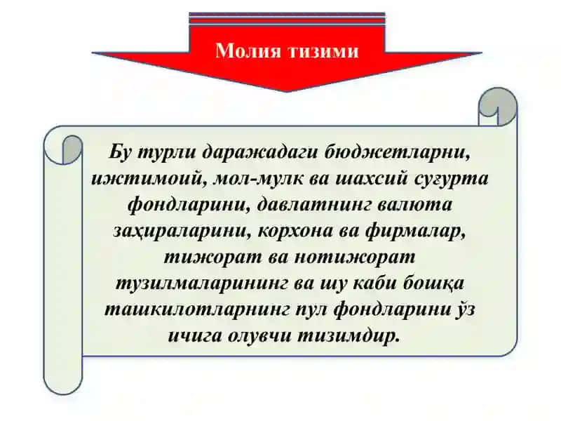Молиянинг моҳияти ва вазифалари 4