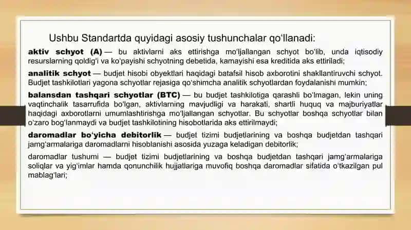 Budjet hisobining schyotlar rejasi va uning qo'llanishi 4
