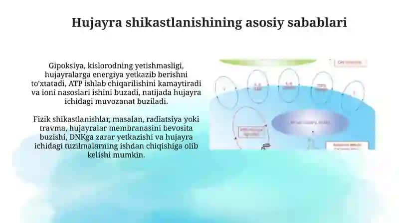 Hujayra ichidagi o'zaro ta'sirlarning buzilishi 4