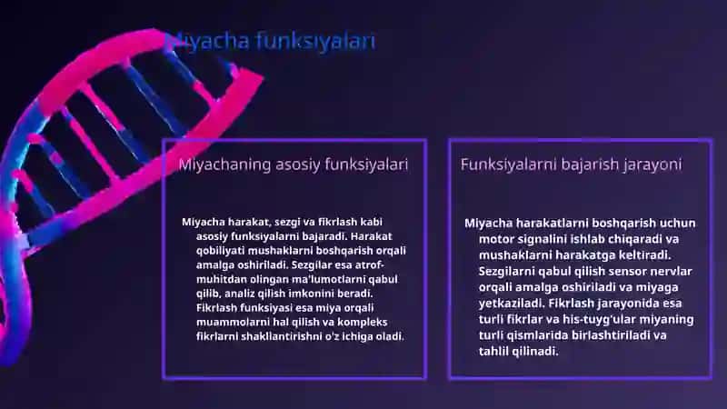 Miyacha rivojlanish anatomiyasi 4