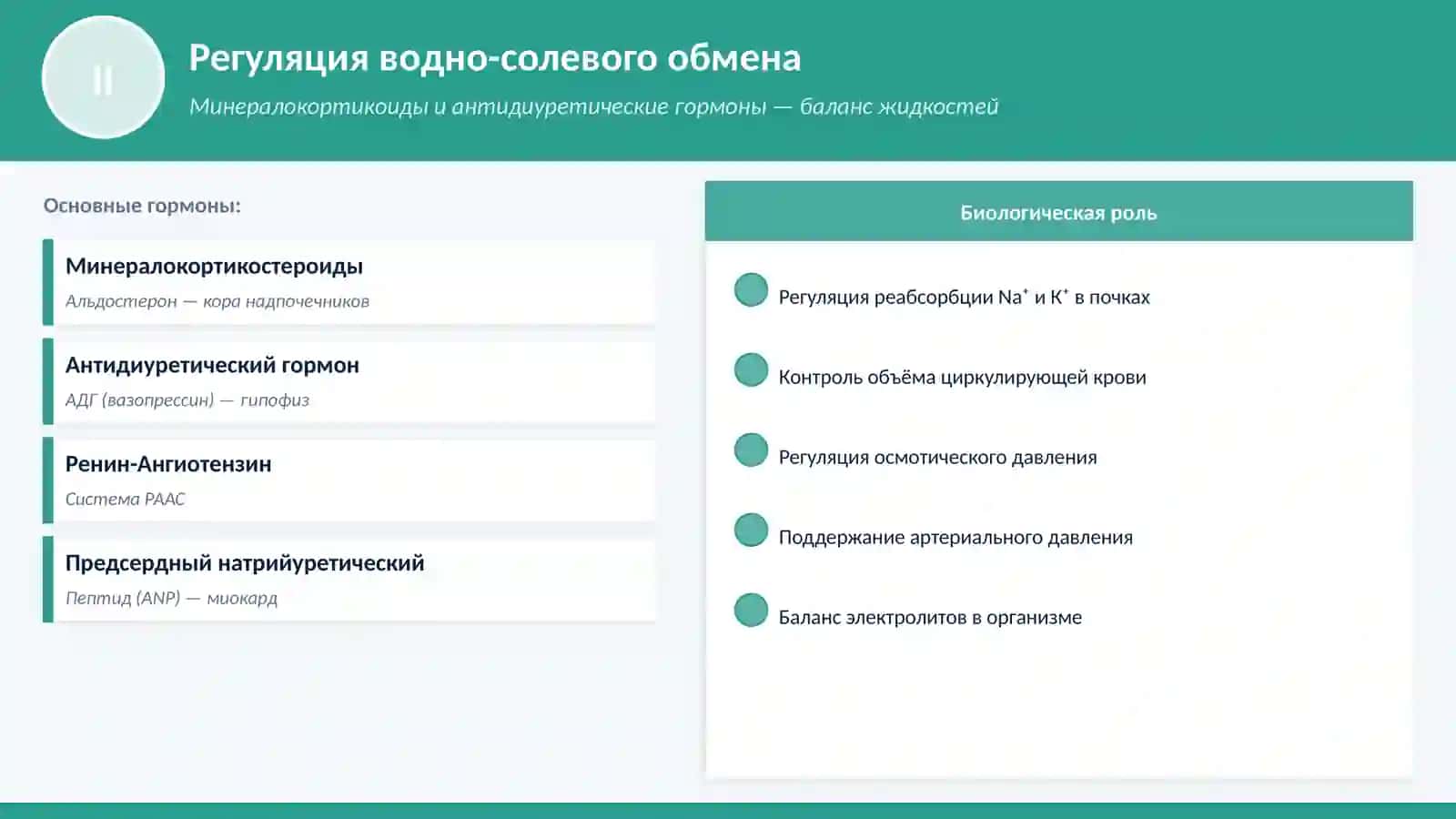 Классификация гормонов 4