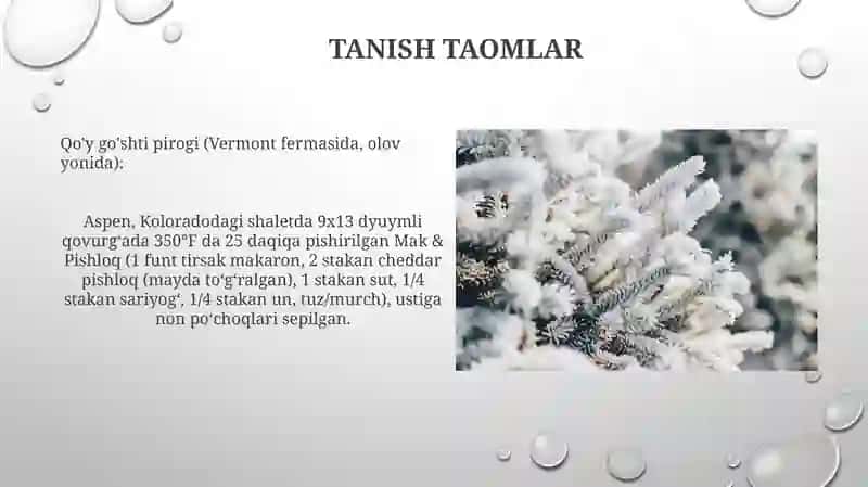 Bayram Ta'mlari 4
