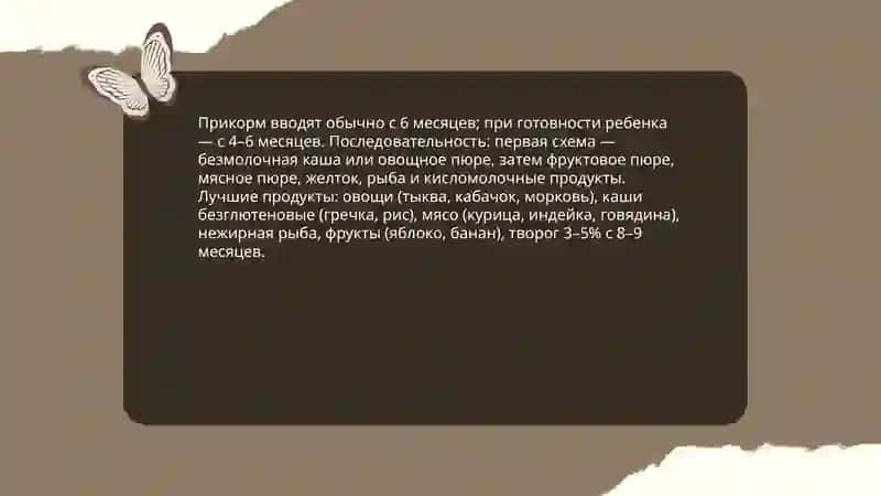 Правильное питание ребенка 4