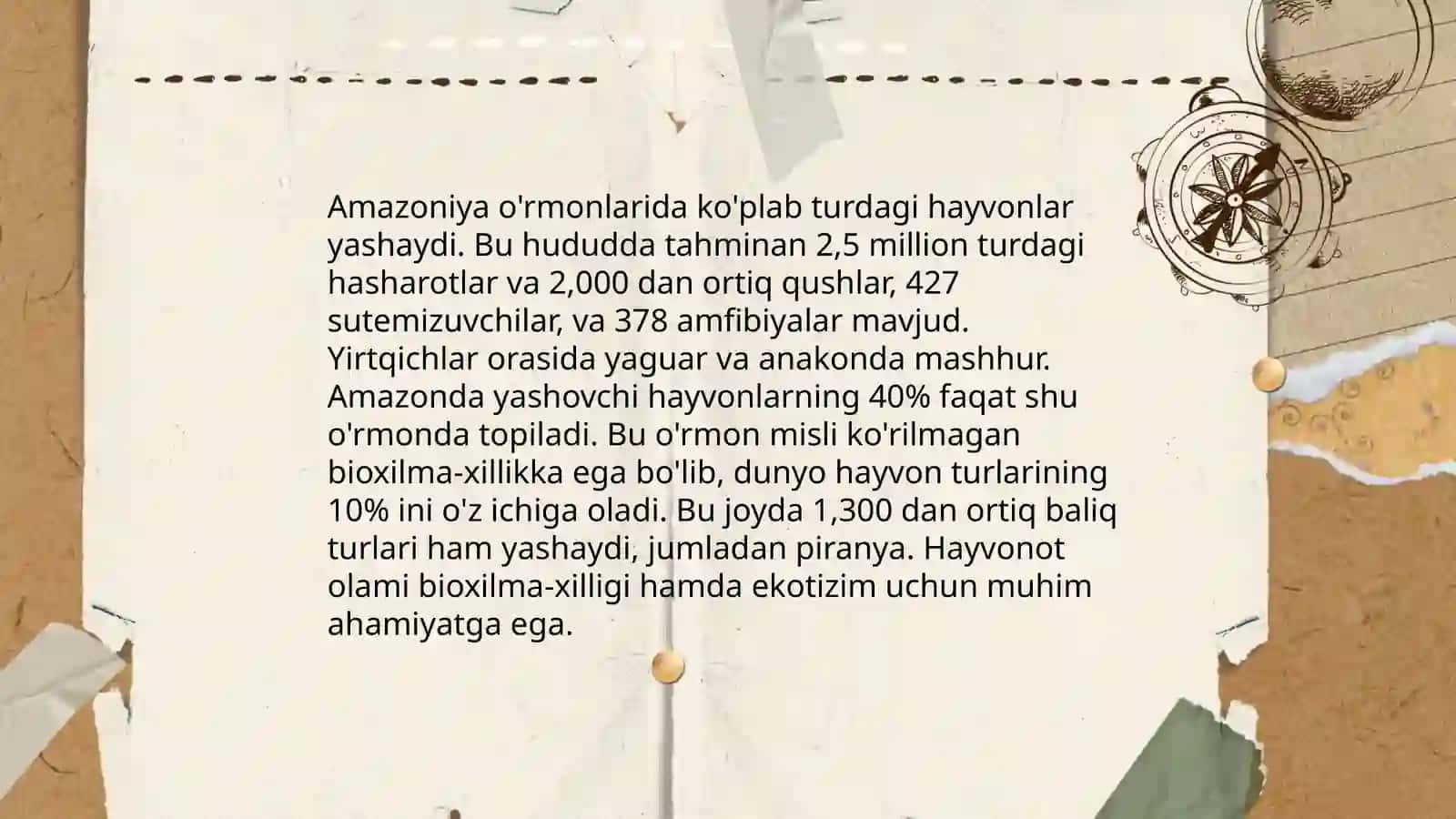 Amazoniya órmonlari 4