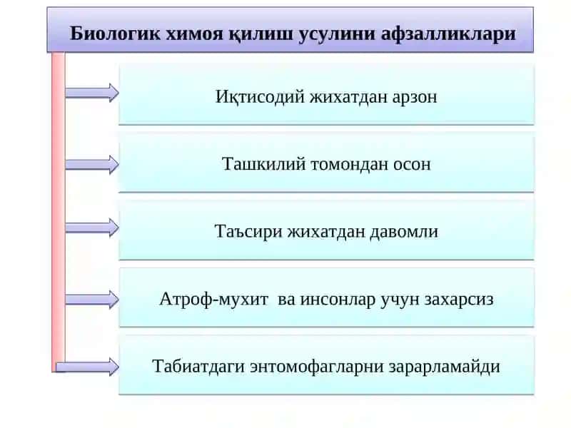 Зараркунандаларга қарши биологик химоя 4