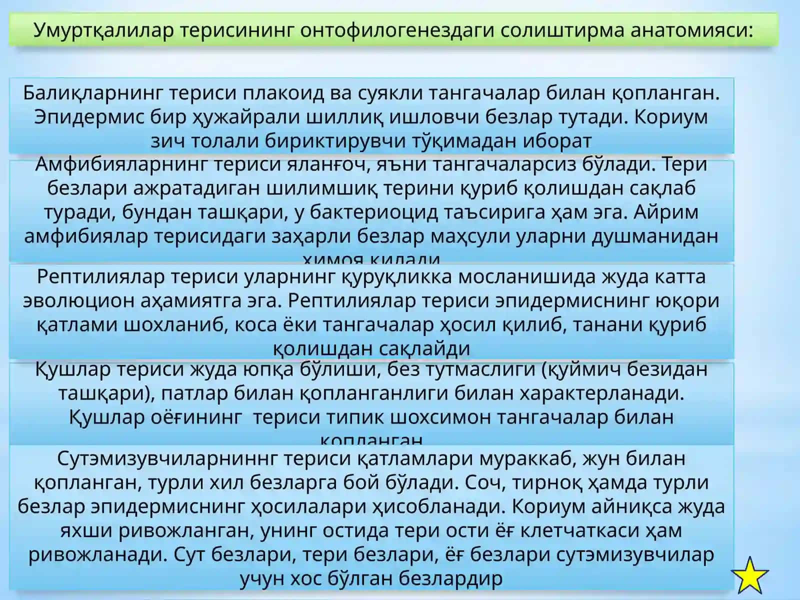 Онтофилогенезда одам органлар системасининг ривожланиши 4