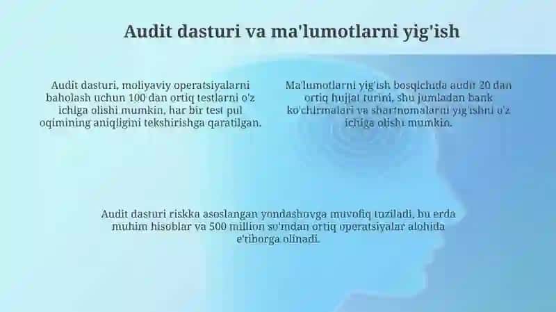 Auditning Maqsadlari va Doirasi 4