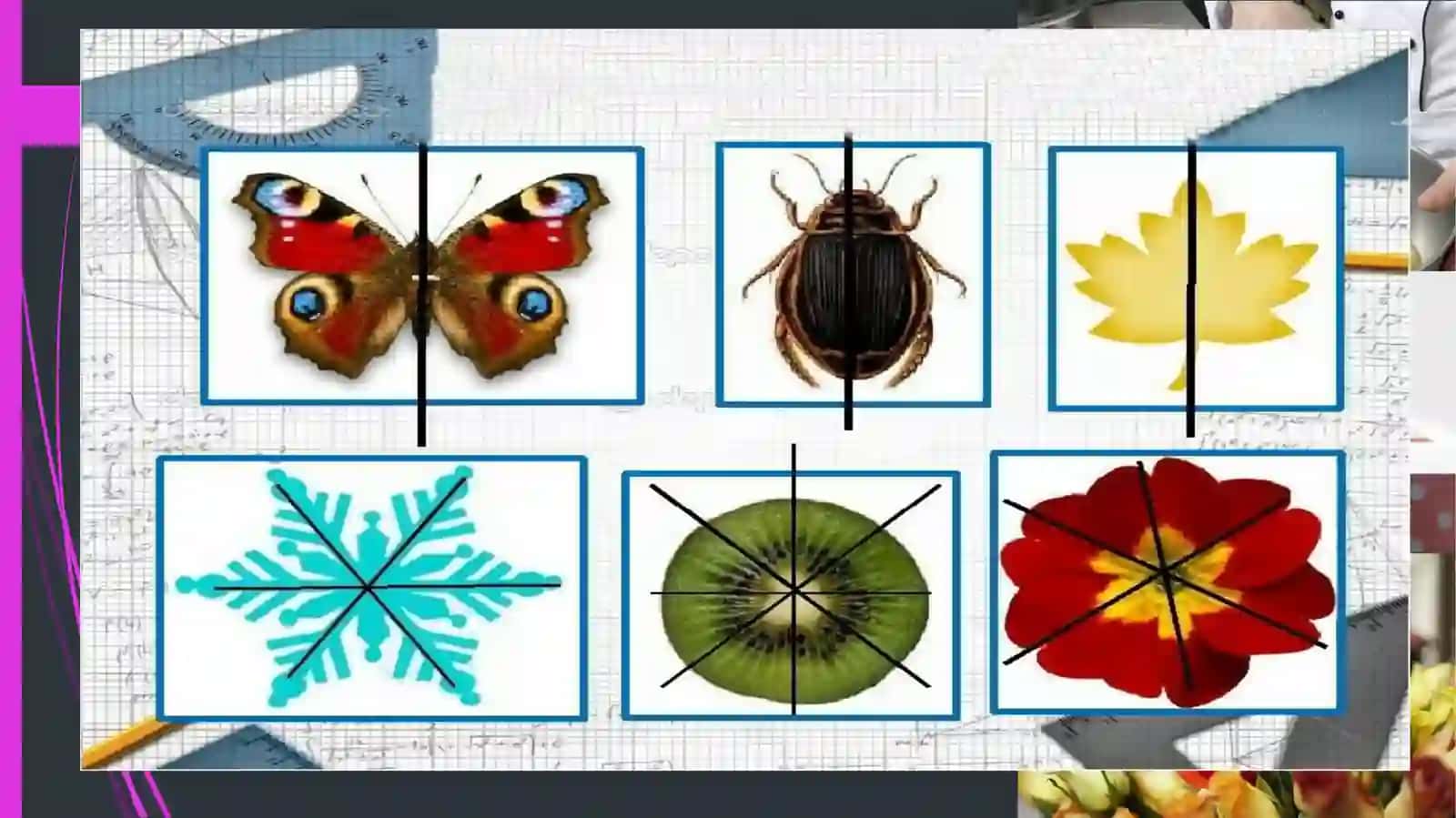 GRAFIK KO’RINISHDAGI SHAKLLAR USTIDA ISHLASH.SIMMETRIK SHAKLLAR 4