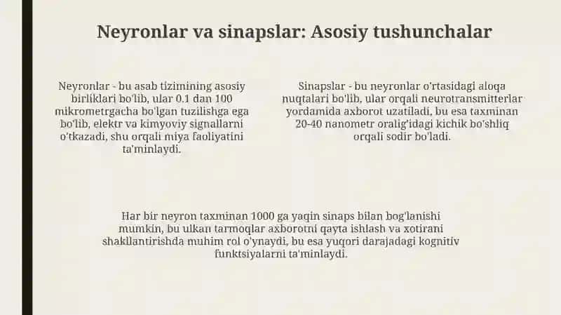 Nerv tizimi 4
