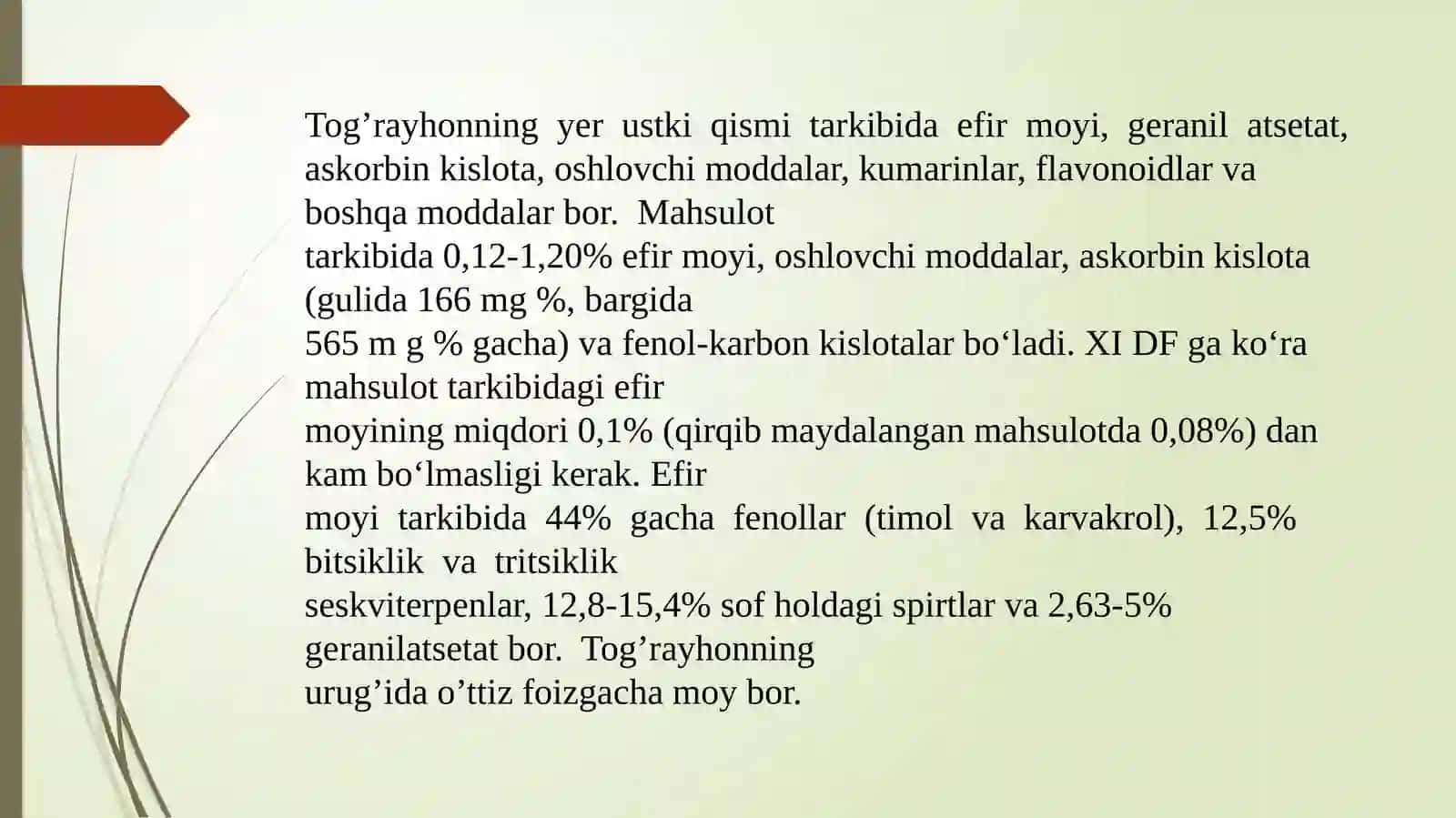 Mayda gulli tog‘ rayhon origanum-tytthanthum 4