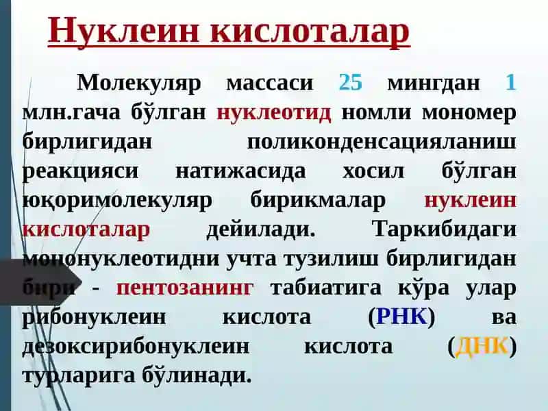 Нуклеозидлар ва нуклеотидлар 4