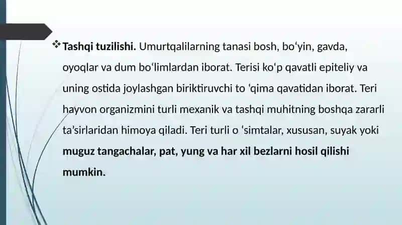 Umurtqalilar kenja tipining umumiy tavsifi va tasnifi 4