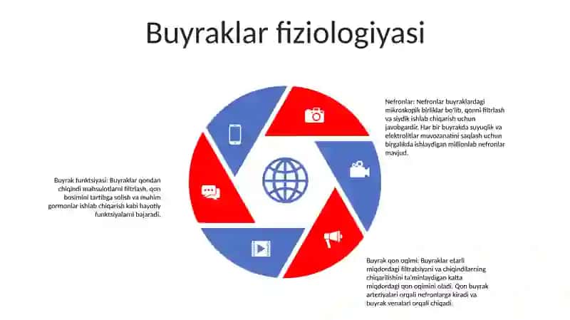 Ayiruv Tizimi Fizialogiyasi 4