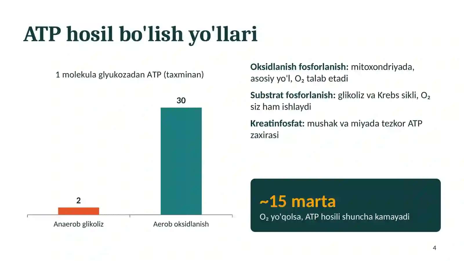 Gipoenergetik holatlar 4