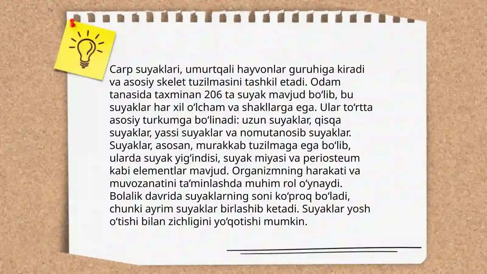 Qol suyaklari 4