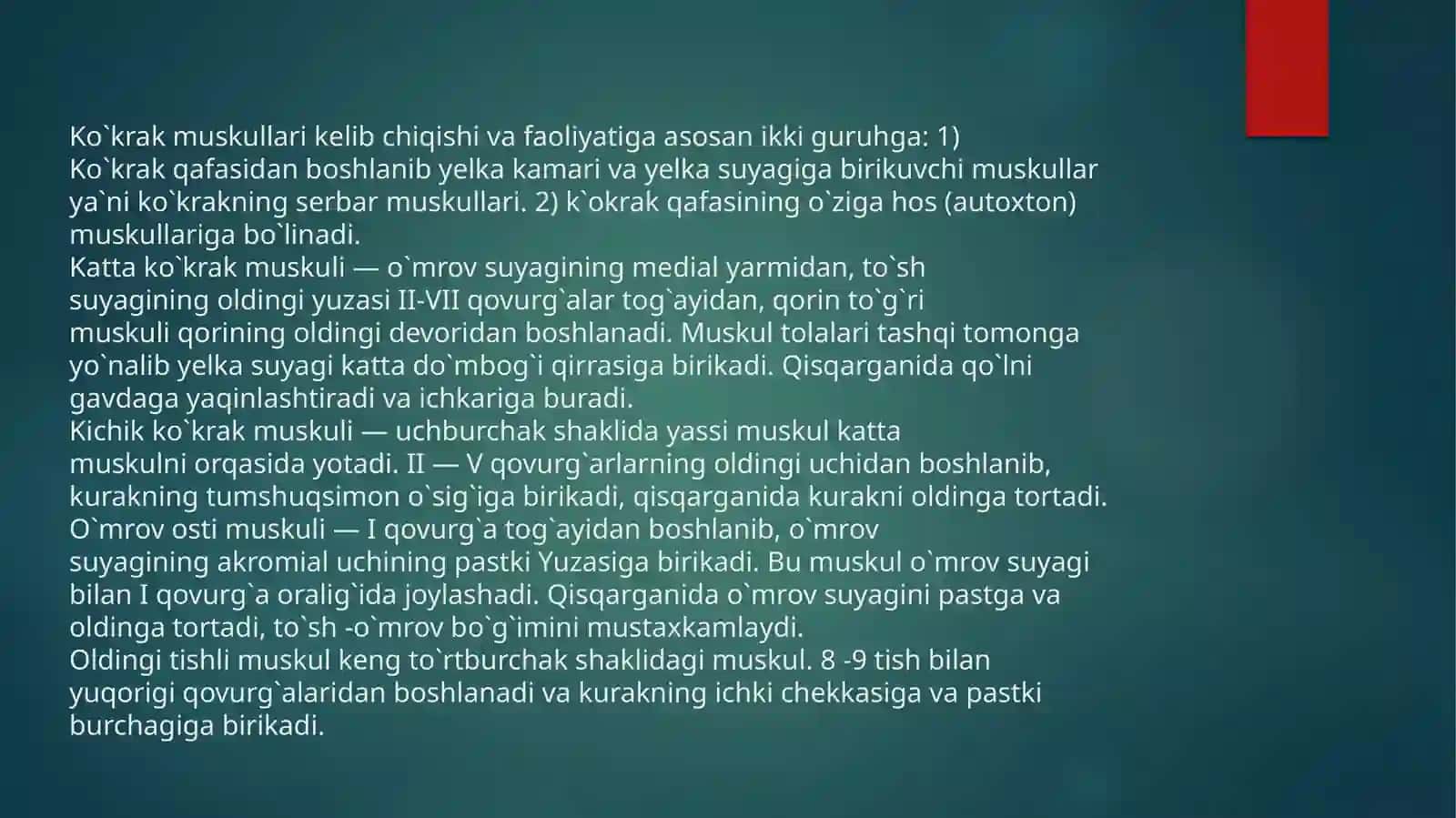 GAVDA MUSKULLARI KO;KRAK VAORQA 4
