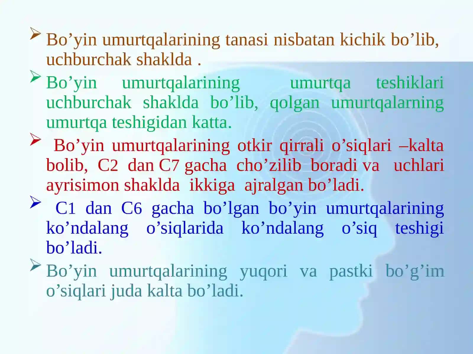 Osteologiya. Tana skeleti. Ko’krak qafasini hosil qiluvchi suyaklar 4