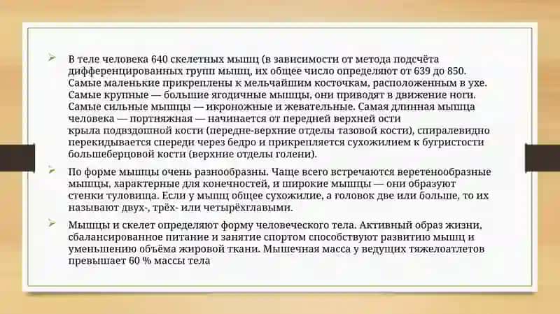Классификация мышц 4