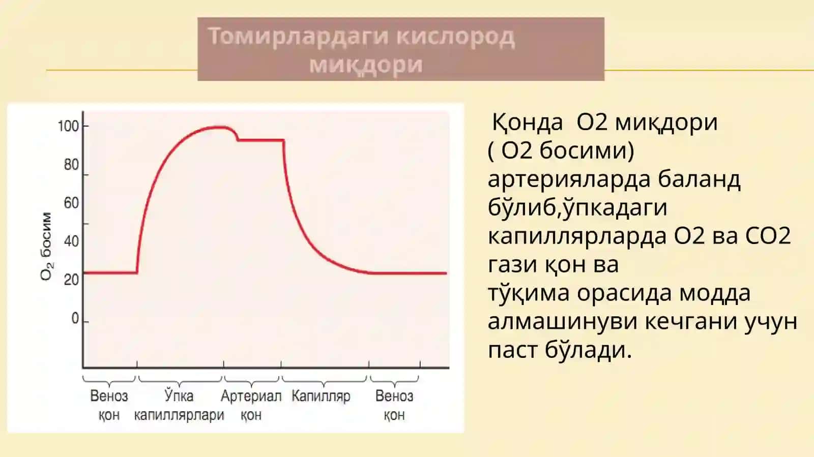 ҚОН ВА ҚОН ЯРАТИЛИШИ 4