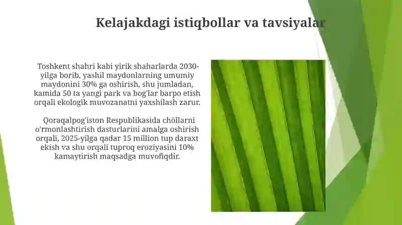 Ekologiani rivojlantrish va yashil makon 4