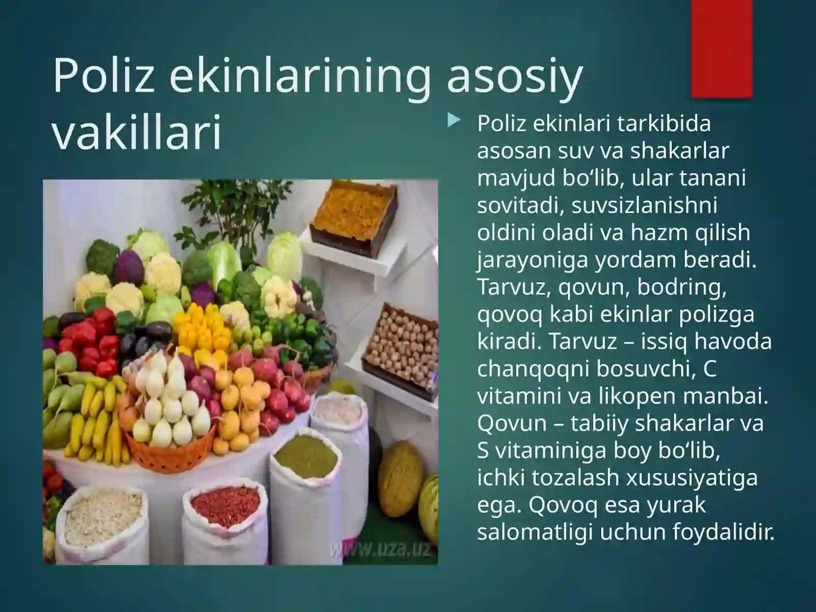 Sabzavod va Poliz Ekinlari 4