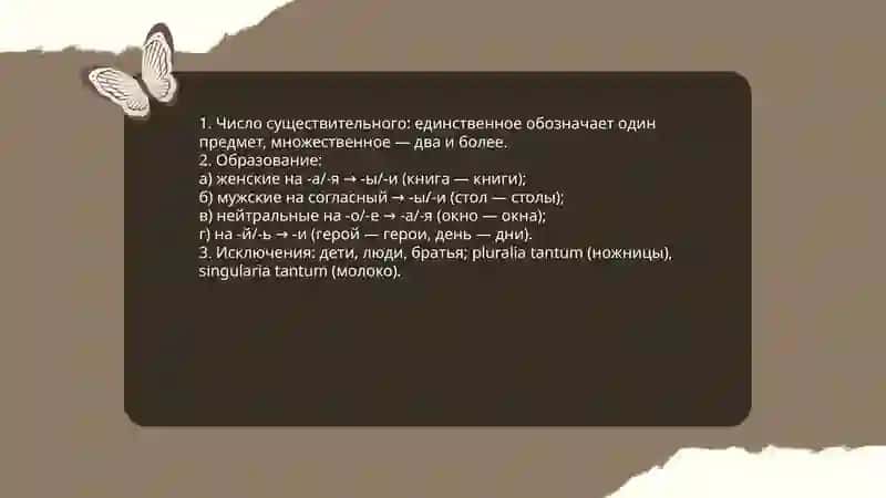 Род существительного 4
